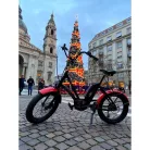 E-Bike Corratec Life S Ap5 Rd 8 Speed, Fekete-Piros, Láncváltós