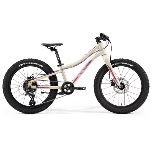 Merida Kerékpár 2021 Matts J.20+ Matt Homok (Berry)