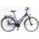 Schwinn Csepel SPRING 100 28