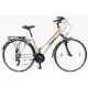 Schwinn Csepel TRC 100 28