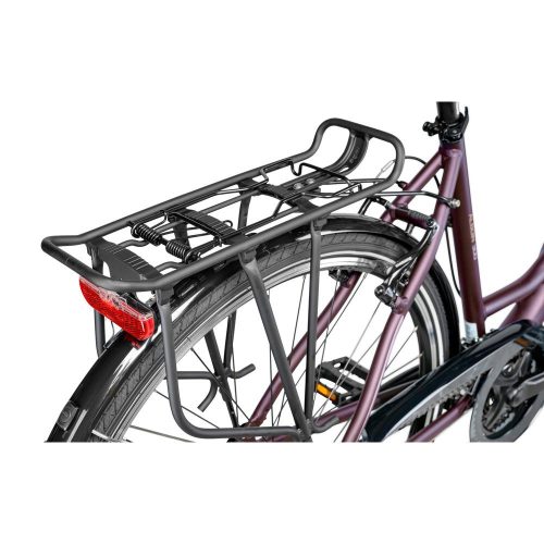 Gepida Alboin 300 Női Kerékpár