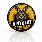 Elektromos roller és kiegészítő