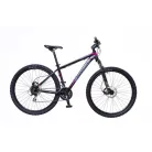Neuzer Jumbo Sport 29" Férfi Kerékpár