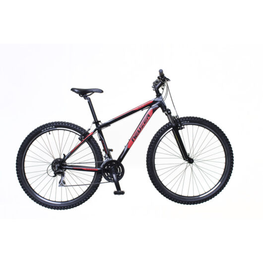 Neuzer Jumbo Sport Férfi Mountain bike 29" 2020 NE1821231024