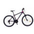 Kép 1/4 - Neuzer Duster Hobby Férfi Mountain bike 29" 2020 NE1821151033