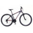 Kép 1/3 - Neuzer Jumbo Hobby Férfi Mountain bike 29" 2020 NE1821241024